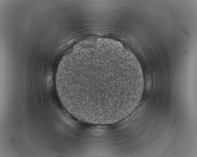 X0000112210128200909181602