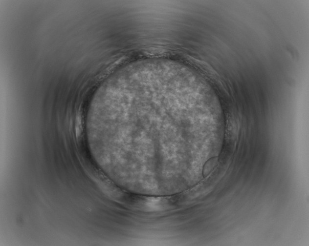X0000112210130200909181602