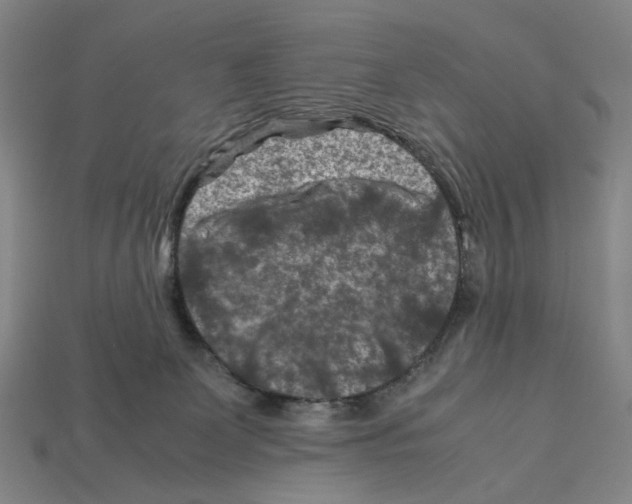 X0000112210131200909181602