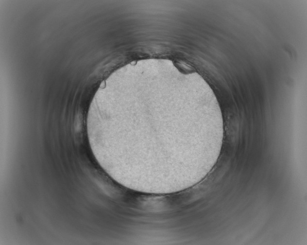 X0000112210132200909181602