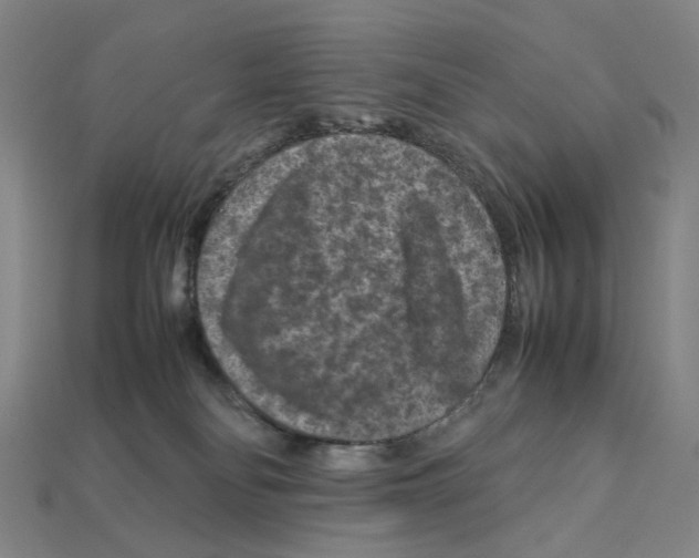 X0000112210134200909181601