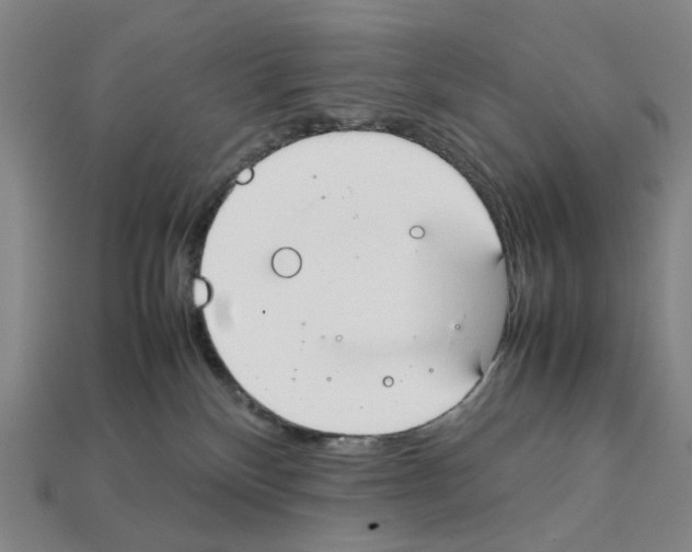 X0000112210136200909181601