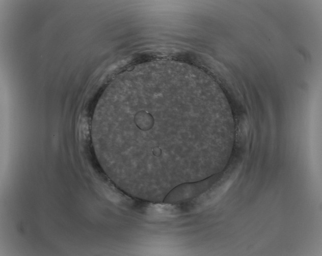 X0000112210137200909181601