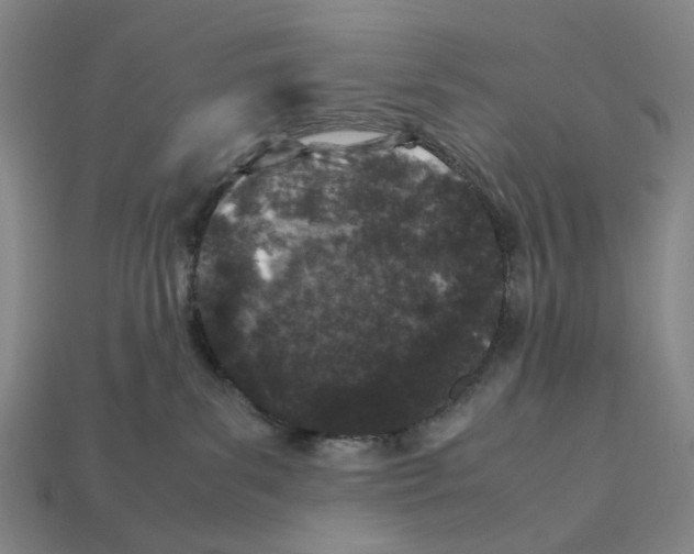 X0000112210139200909181601
