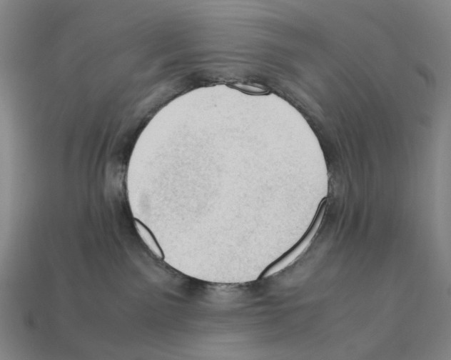 X0000112210141200909181601