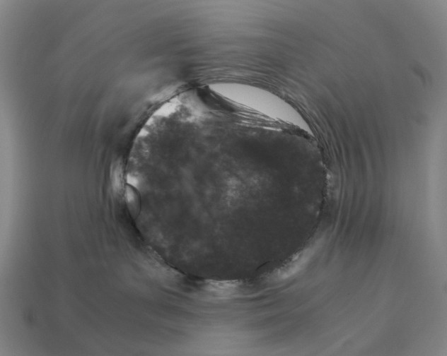 X0000112210143200909181601