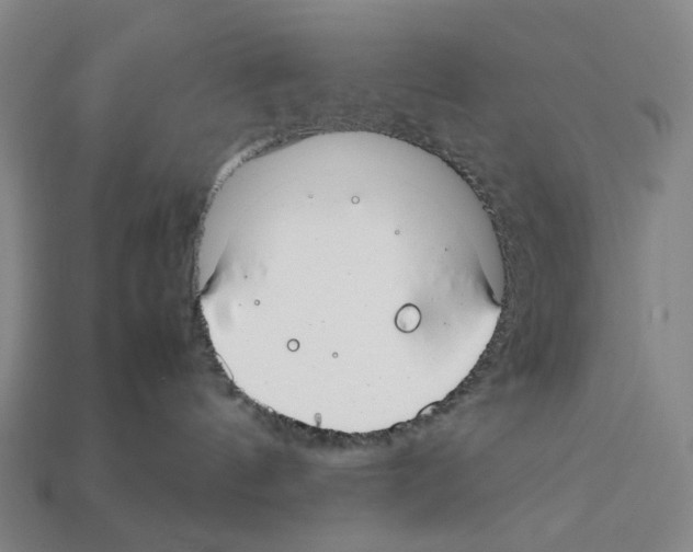 X0000112210144200909181601