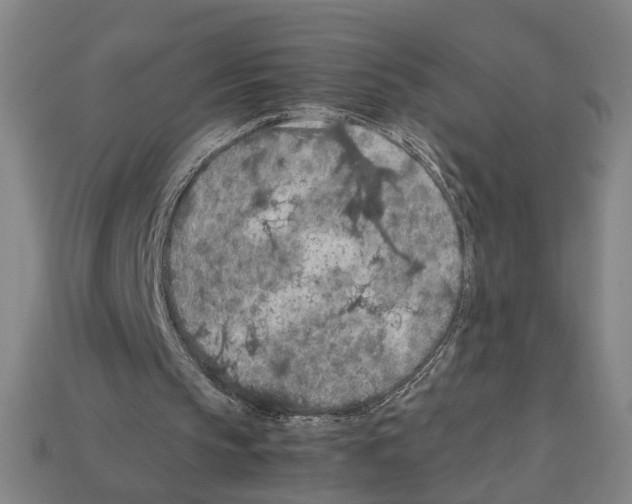 X0000112210145200909181601