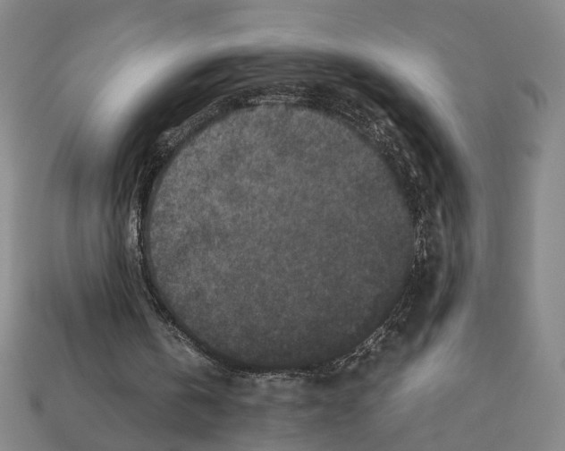 X0000112210146200909181601