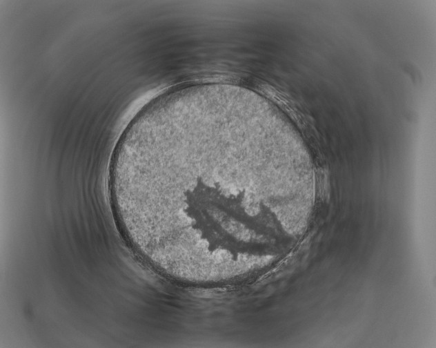 X0000112210147200909181601