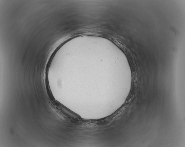X0000112210148200909181601