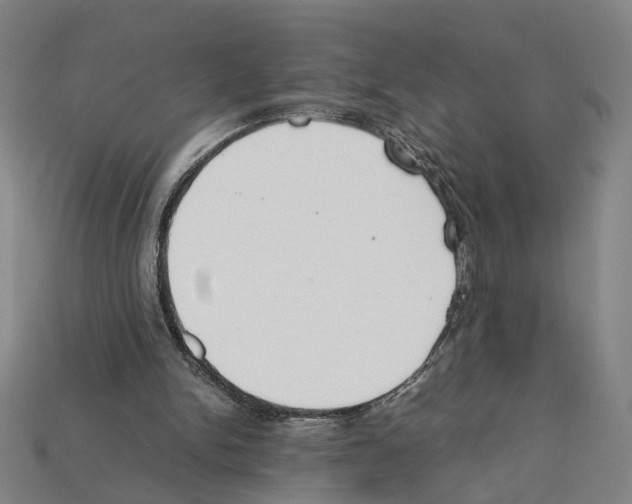 X0000112210150200909181601