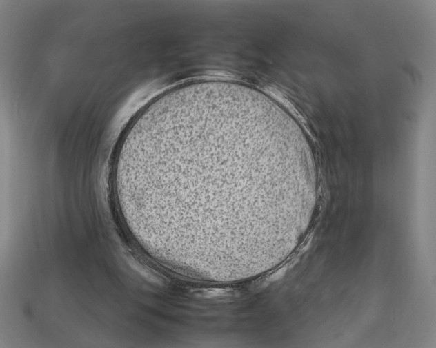 X0000112210151200909181601