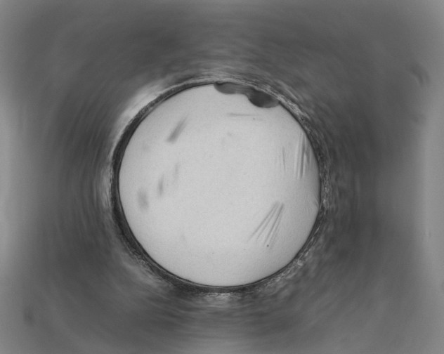 X0000112210152200909181601