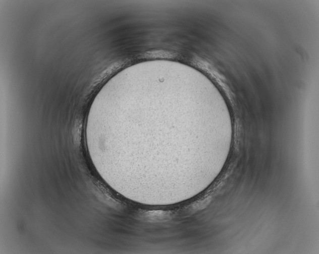 X0000112210153200909181601