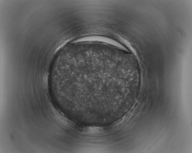 X0000112210154200909181601
