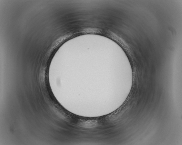 X0000112210155200909181601