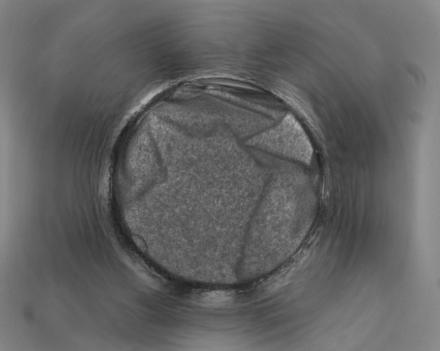 X0000112210156200909181601
