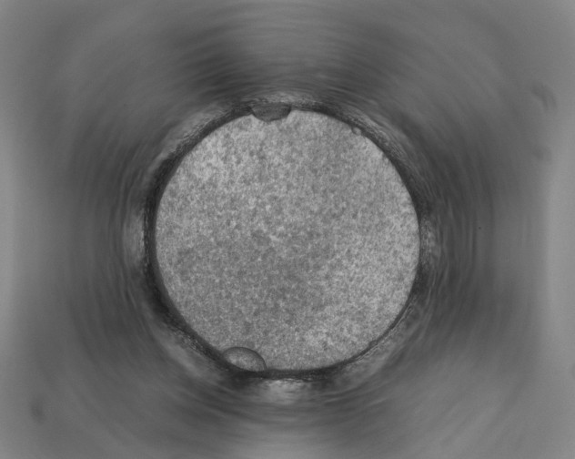 X0000112210158200909181601