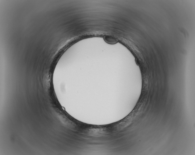 X0000112210160200909181601