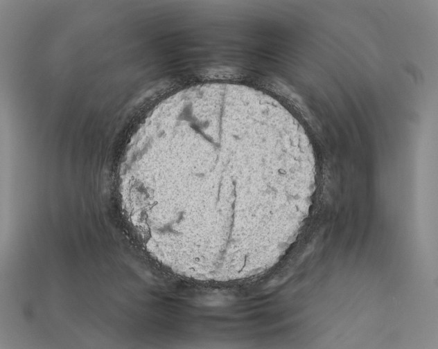 X0000112210161200909181601