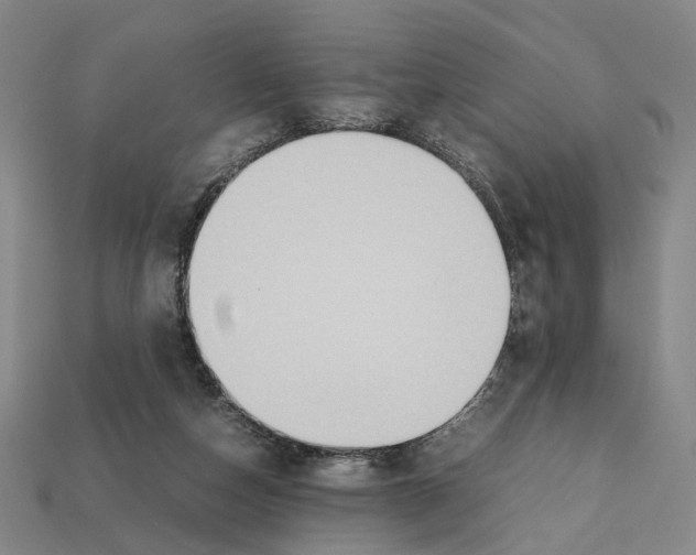 X0000112210162200909181601