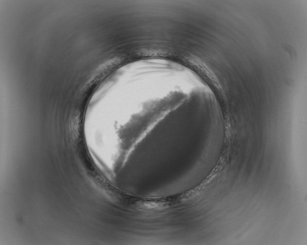 X0000112210163200909181601