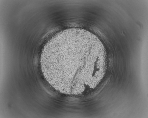 X0000112210165200909181601