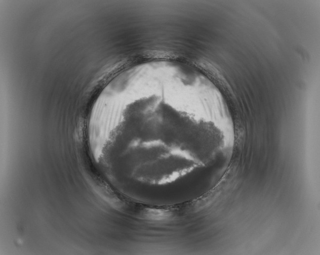 X0000112210167200909181601