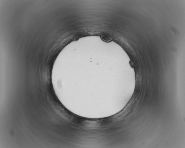 X0000112210170200909181601