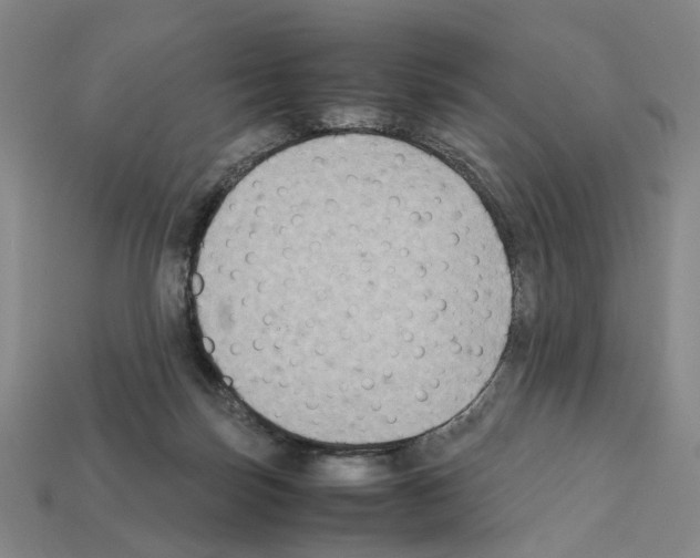 X0000112210171200909181601