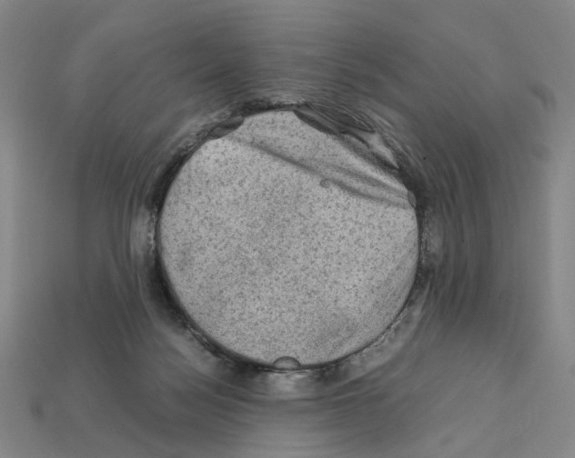 X0000112210172200909181601