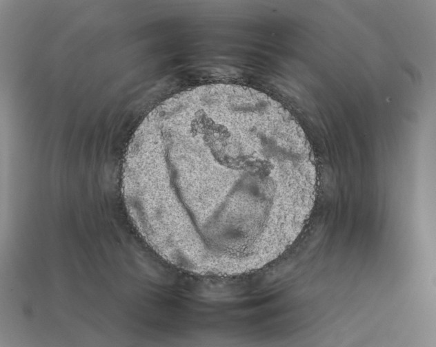 X0000112210177200909181601