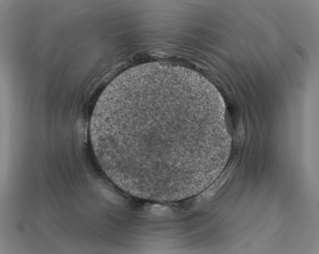 X0000112210180200909181601