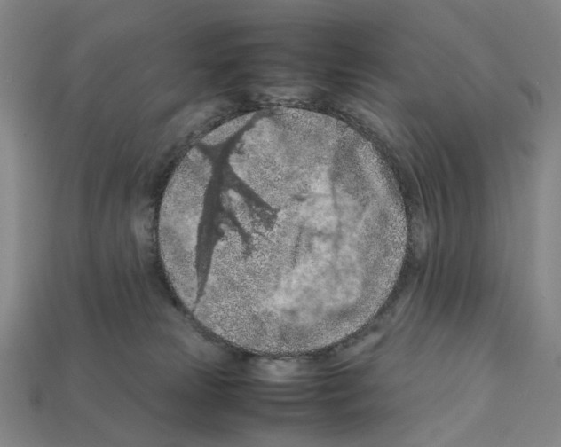 X0000112210181200909181601