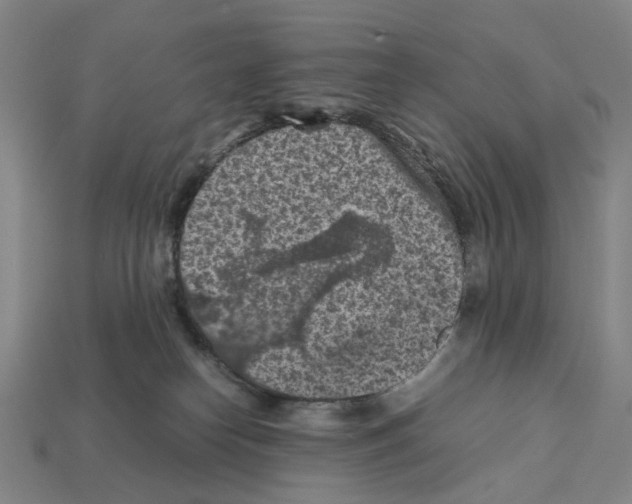X0000112210182200909181601