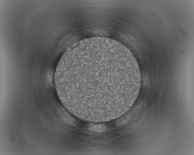 X0000112210185200909181601