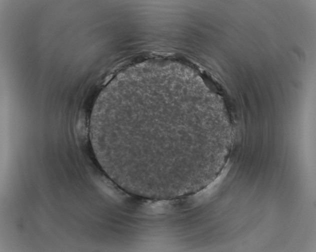 X0000112210186200909181601