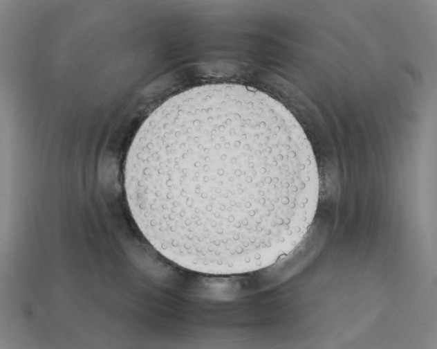 X0000112210187200909181601