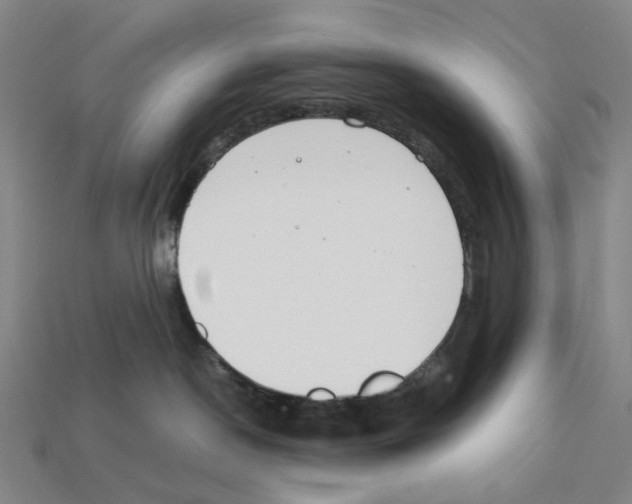 X0000112210190200909181601