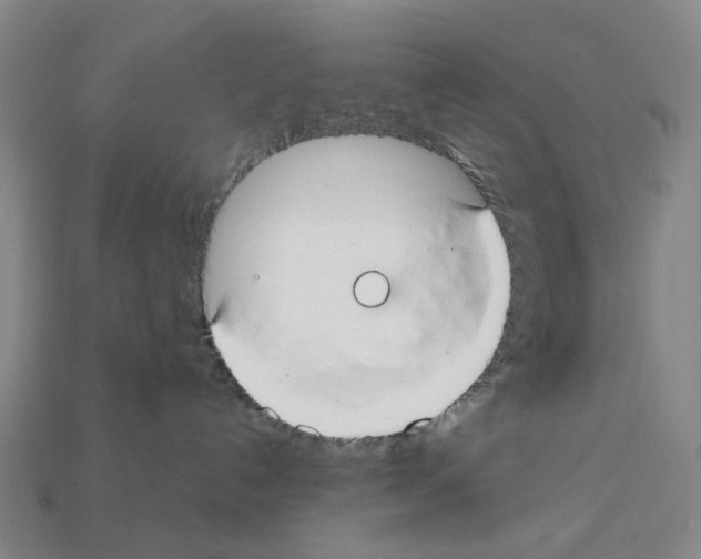 X0000112210192200909181601