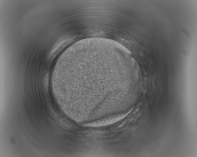 X0000112210194200909181601