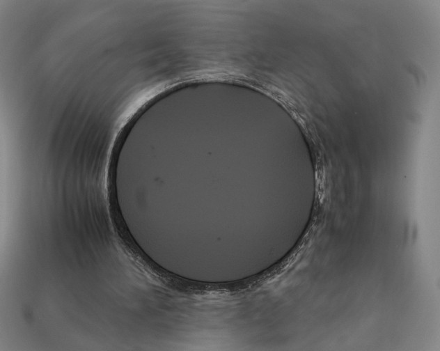 X0000112210196200909181601