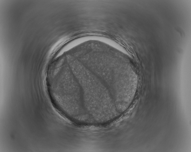 X0000112210197200909181601