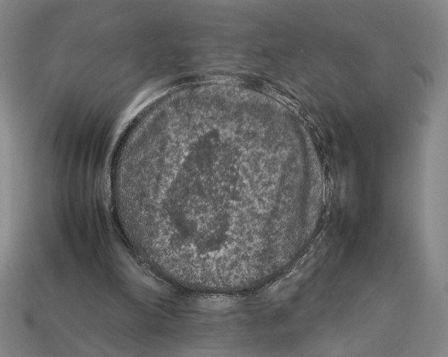 X0000112210198200909181601
