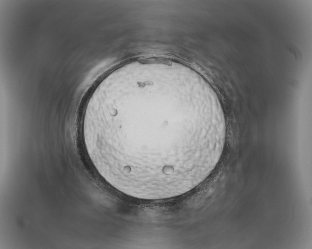 X0000112210199200909181601