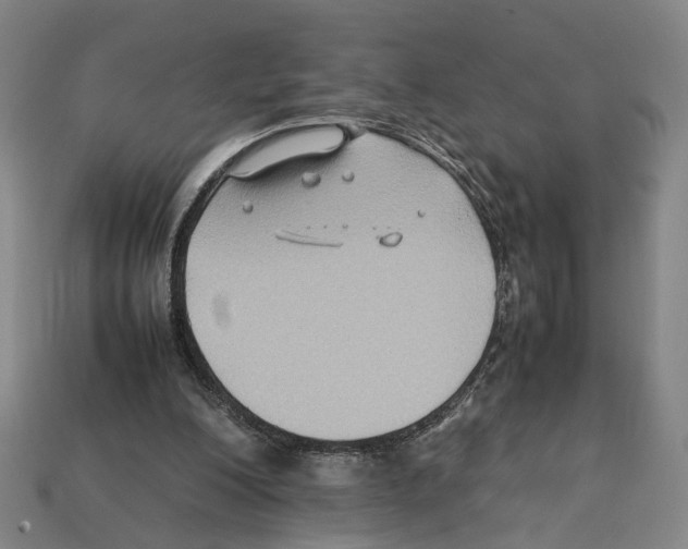 X0000112210200200909181601