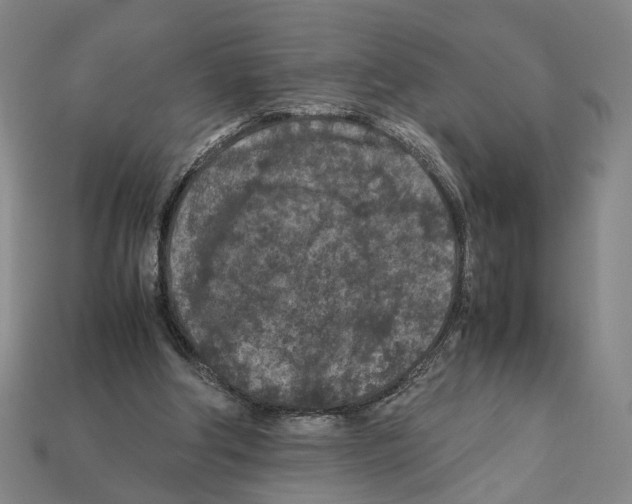 X0000112210202200909181601