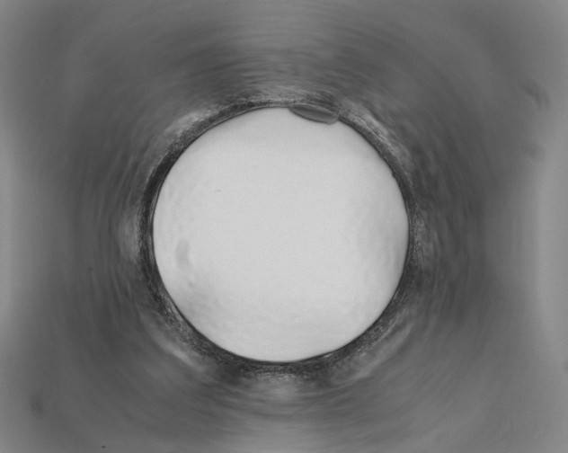 X0000112210203200909181601