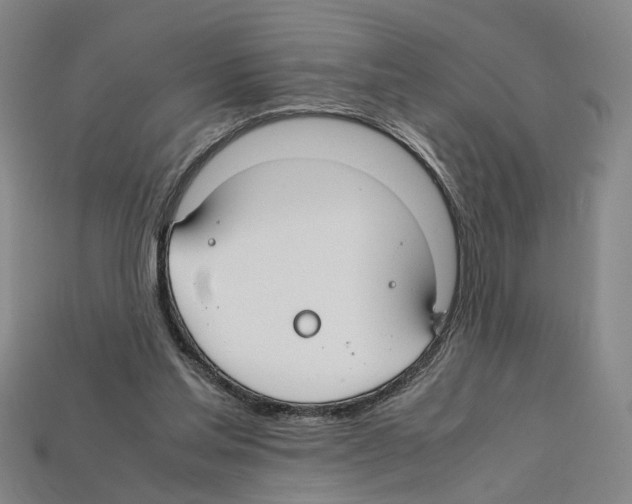 X0000112210205200909181601